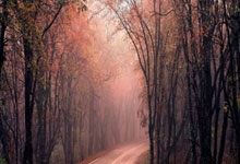 贝尔斯诺壁挂炉总部各区服务热线传授√壁挂炉温度调节：舒适家居的秘诀